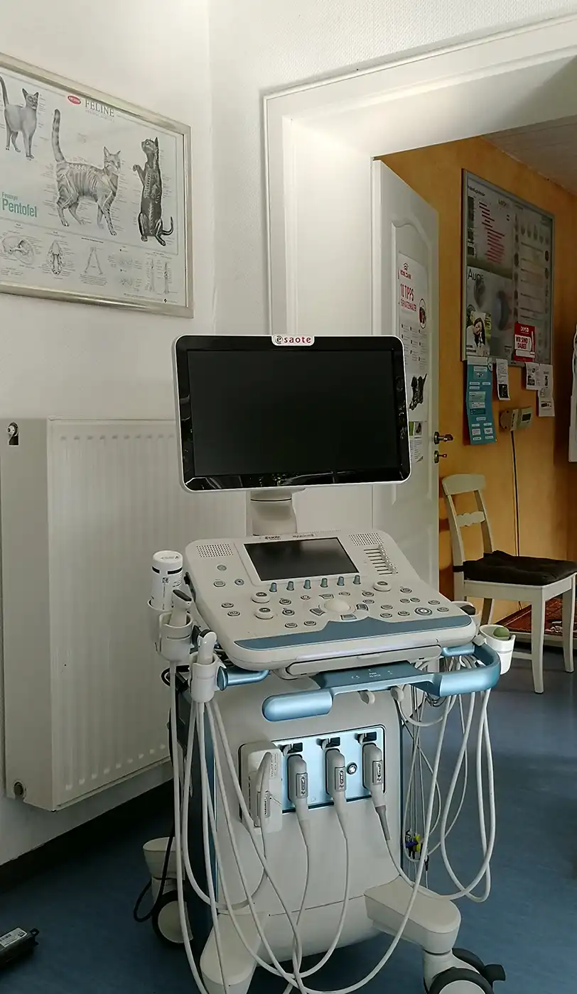 Chirurgie Tierarzpraxis Wegberg

